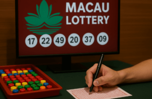 如何提升六合彩派彩回报？