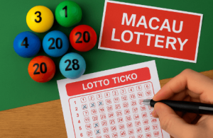 正确心态是六合彩 技巧中最重要的部分