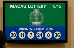 信息透明对澳门六合彩的重要性