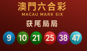 六合彩 開獎在澳门六合彩体系中的整体意义