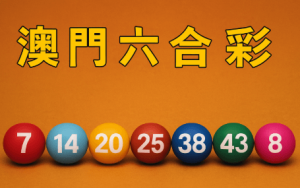 理性投注與風險管理