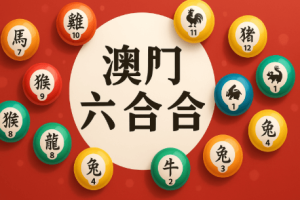实战参考:澳门六合彩常见的六合彩 運財號碼特征总结
