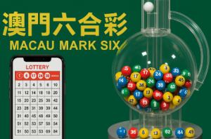 如何理性看待澳门六合彩中的公式？