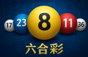 六合彩 點玩的综合价值
