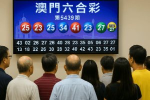 如何提高投注判断稳定性？